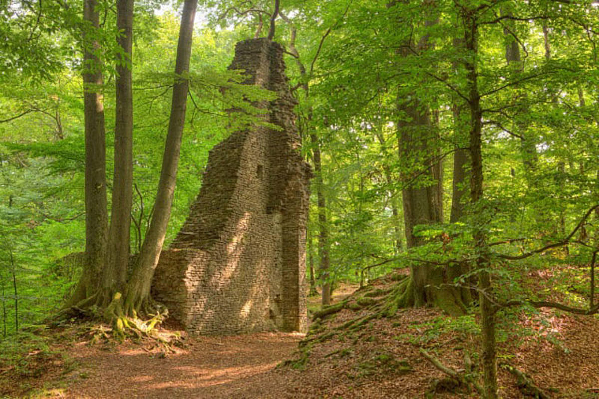 Burgruine Neuenberg