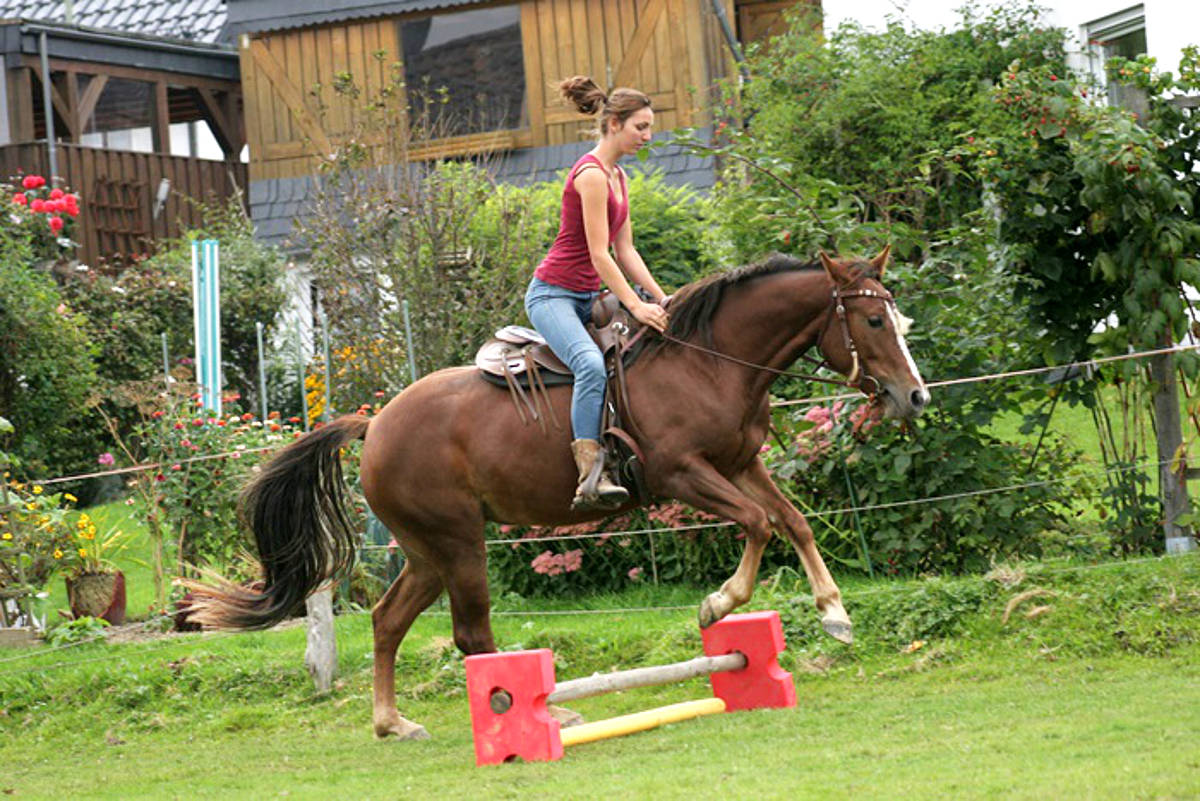 Reiten 