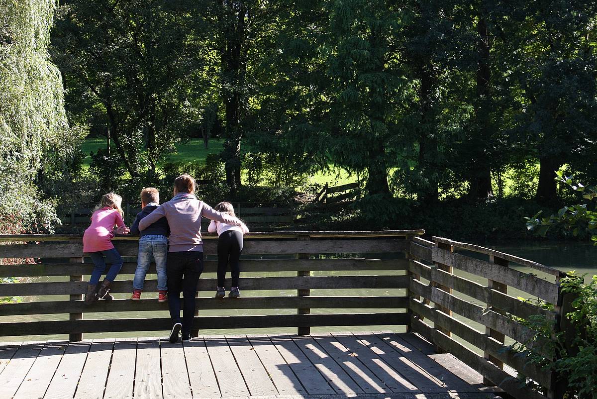 Ententeich im Freizeitpark